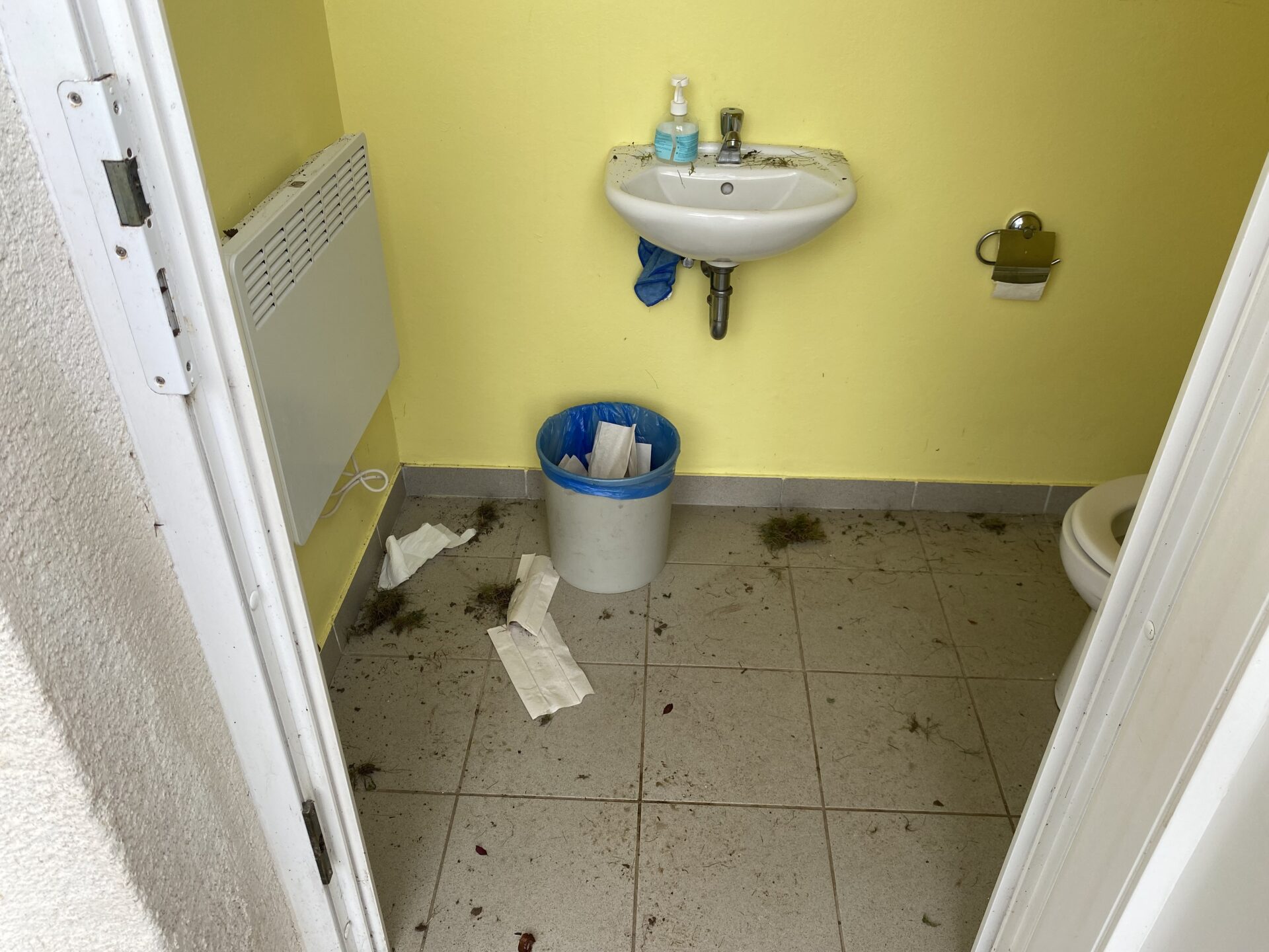Vandalisme Toilette publique
