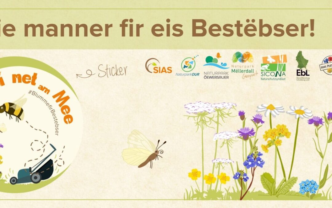 Campagne “Méi net am Mee” 2026