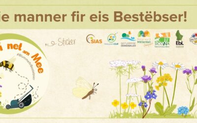 Campagne “Méi net am Mee” 2026